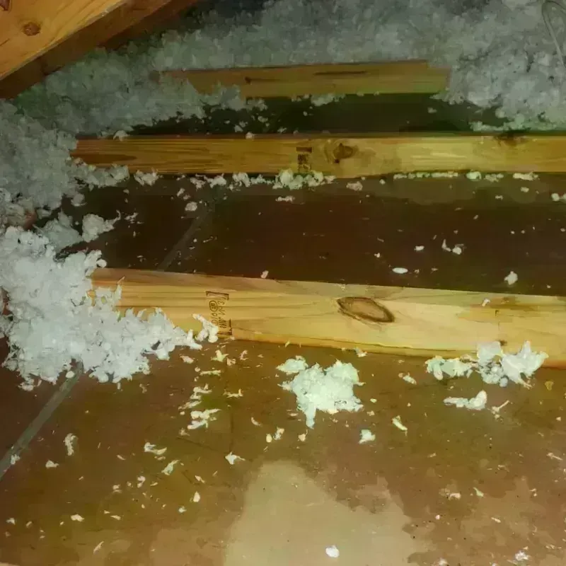 Attic Water Damage in Sikeston, MO